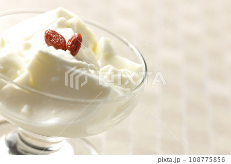 デザートカップに入っている杏仁豆腐 108775856