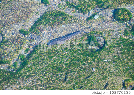 魚が泳ぐ透明な清流 108776159