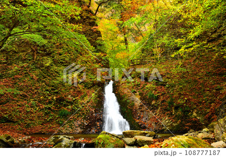 栃木県那須塩原市 秋の紅葉に染まる那須塩原と風挙の滝 栃木県那須塩原市 秋の紅葉に染まる那須塩原と風挙の滝 108777187