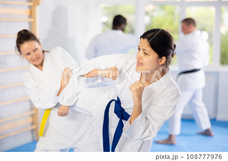 Karate with two female athletes practicing, training and sparring in fight class. Healthy, fit and active women in uniform learning self defense for safety Karate with two female athletes practicing, training and sparring in fight class. Healthy, fit and active women in uniform learning self defense for safety 108777976