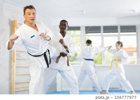 Two men practicing punches during karate classes in gym Two men practicing punches during karate classes in gym 108777977