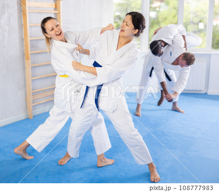 Adult and young women training judo techniques 108777983