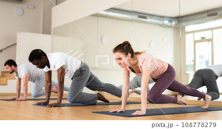 Woman and men exercising on mats in gym 108778279