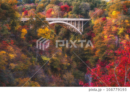 宮城県を代表する紅葉の名所 鳴子峡 108779193