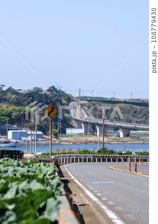 春の三浦半島の風景 108779430