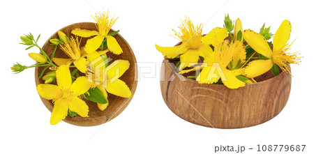 saint john's wort or Hypericum flowers in wooden bowl isolated on white background. Top view. Flat lay saint john's wort or Hypericum flowers in wooden bowl isolated on white background. Top view. Flat lay 108779687
