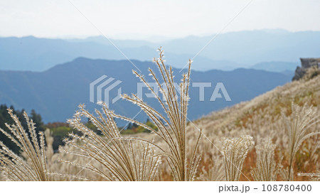 生石高原で見るススキの風景 108780400