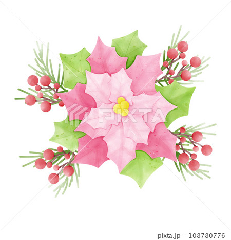 Poinsettia 108780776
