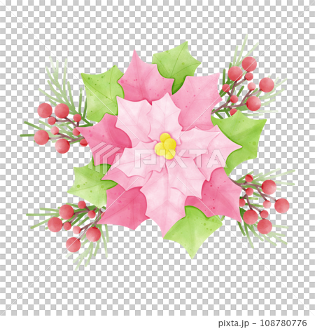 Poinsettia 108780776