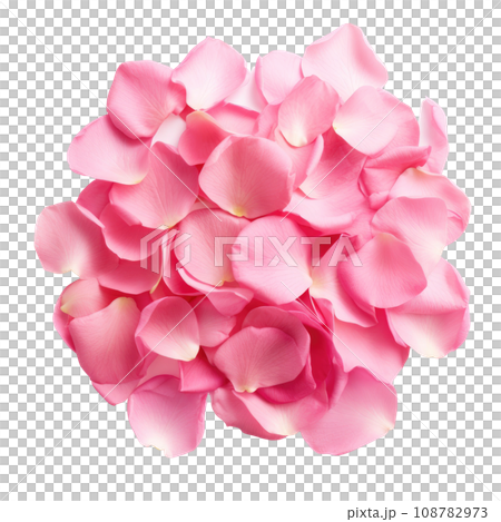 Blush Pink Rose Petals Cluster Blush Pink Rose Petals Cluster 108782973