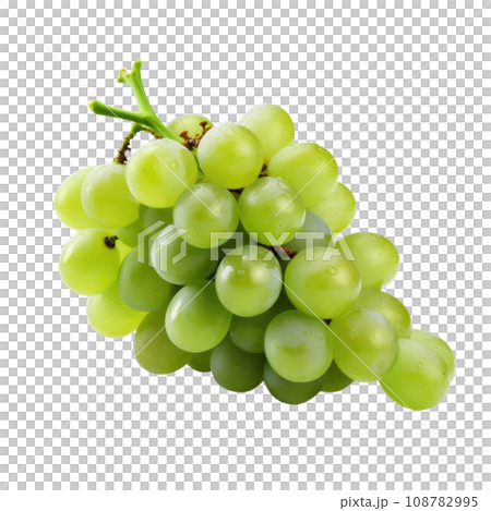 White Daisies with Golden Centers White Daisies with Golden Centers 108782995