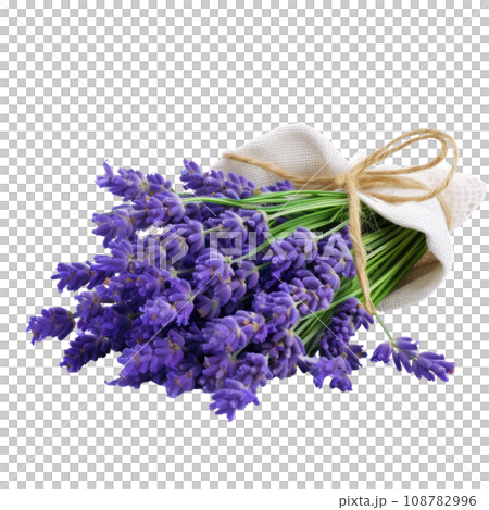 Aromatic Lavender Flowers Tied Aromatic Lavender Flowers Tied 108782996
