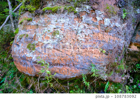 Red sandstone rock in the Gauja National Park 108783092