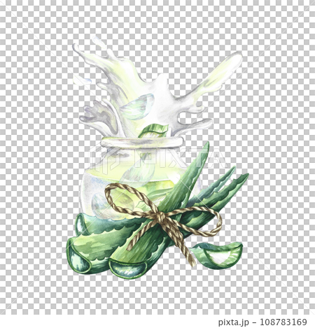 Aloe vera. Hand-drawn watercolor illustration. a bunch of aloe vera leaves, slices of aloe and a glass jar with aloe juice. Isolate. For packaging cosmetics and medicine. For banner, poster and flyer. Aloe vera. Hand-drawn watercolor illustration. a bunch of aloe vera leaves, slices of aloe and a glass jar with aloe juice. Isolate. For packaging cosmetics and medicine. For banner, poster and flyer. 108783169