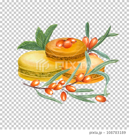 Traditional French macarons. Orange almond cookies, macaroon cake. Sea buckthorn macaroons. Sweet berry, fruit dessert. Watercolor illustration. For package, menu, recipe 108783189
