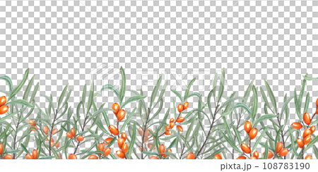 Seamless border of Sea Buckthorn. Sandthorn, sallowthorn. Illustration with bright Orange Berries and Green Leaves suitable for card design, textile, wrapping, scrapbooking Seamless border of Sea Buckthorn. Sandthorn, sallowthorn. Illustration with bright Orange Berries and Green Leaves suitable for card design, textile, wrapping, scrapbooking 108783190