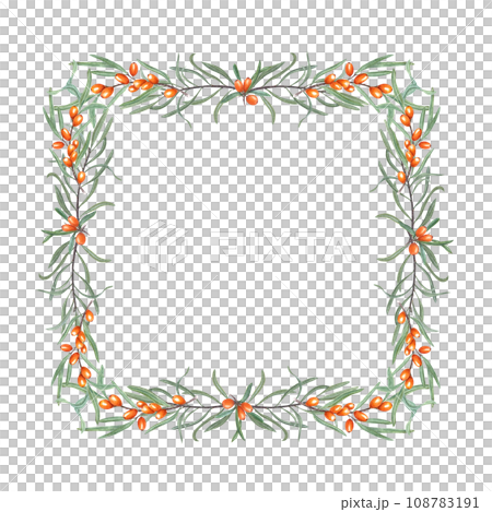 Square frame with Sea buckthorn branches. Sandthorn, sallowthorn. Ripe juice orange berries, green leaves. Watercolor illustration. For postcard, invitation template, package. Space for text 108783191