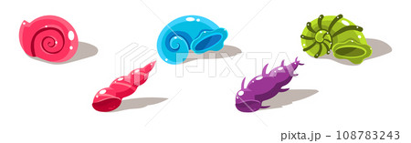 Colorful Shells and Conch Sea Element Vector Set Colorful Shells and Conch Sea Element Vector Set 108783243