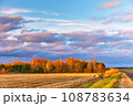 Fall colors birch trees. Empty harvested agriculture field, forest in distance. Clouds on rainy dramatic sky. Autumn wood rural landscape. November sunset. 108783634