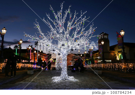 フェスタルーチェ　和歌山マリーナシティ　イルミネーション 108784234