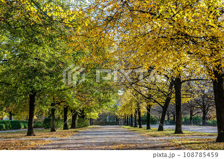 Walking in Hofgarten Park in Munich on an autumn day, Germany 108785459