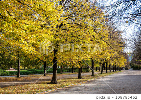 Walking in Hofgarten Park in Munich on an autumn day, Germany 108785462