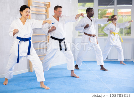 Group of multiethnic people training karate techniques 108785812