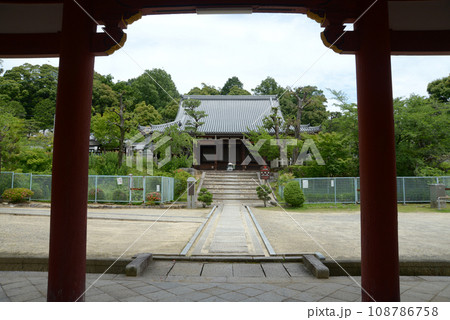 宝塔寺　仁王門から本堂を望む　京都市伏見区深草 108786758