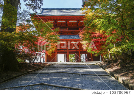 秋の高野山 東側から望む大門と紅葉したモミジ 秋の高野山 東側から望む大門と紅葉したモミジ 108786967