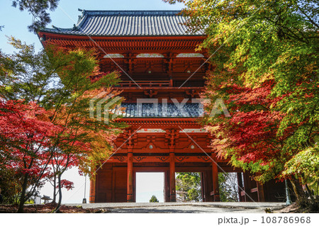 秋の高野山 東側から望む大門と紅葉したモミジ 秋の高野山 東側から望む大門と紅葉したモミジ 108786968