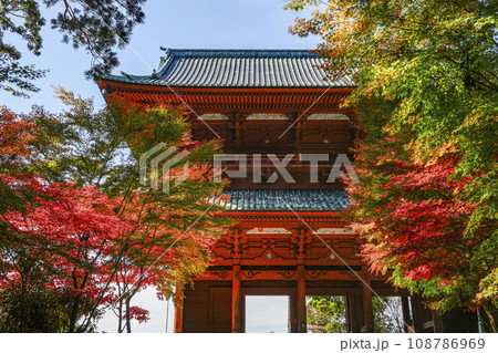 秋の高野山　東側から望む大門と紅葉したモミジ 108786969