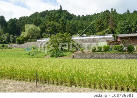 柳生の里 旧家老屋敷 奈良県奈良市柳生 柳生の里 旧家老屋敷 奈良県奈良市柳生 108786981