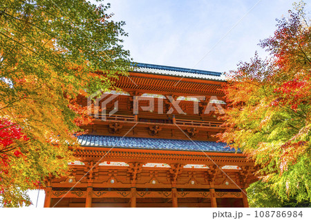 秋の高野山　東側から望む大門と紅葉したモミジ 108786984