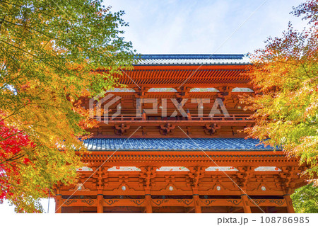 秋の高野山　東側から望む大門と紅葉したモミジ 108786985