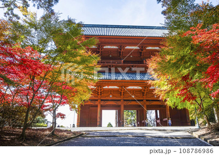 秋の高野山　東側から望む大門と紅葉したモミジ 108786986