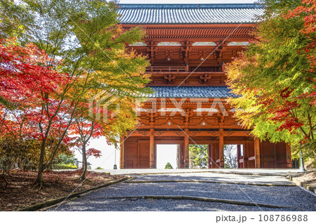 秋の高野山　東側から望む大門と紅葉したモミジ 108786988