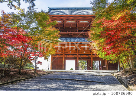 秋の高野山　東側から望む大門と紅葉したモミジ 108786990