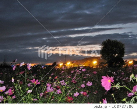 ｢尾島温泉・利根の湯(2012.10)｣ 尾島町標(おじままちしるべ) 尾島温泉で身体を暖めていこう 108787586