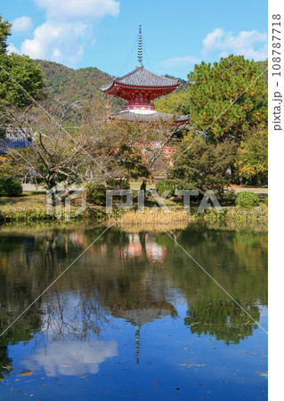 大覚寺 大覚寺 108787718