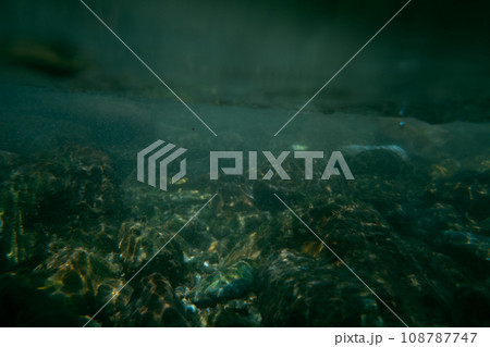 play in the river 108787747