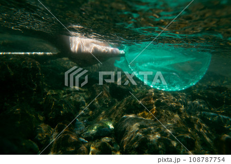 play in the river play in the river 108787754