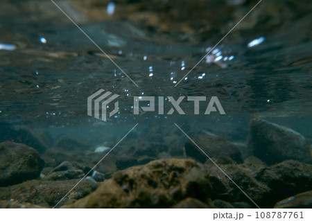 play in the river play in the river 108787761