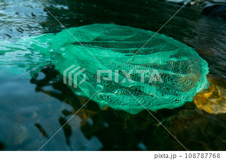 play in the river 108787768