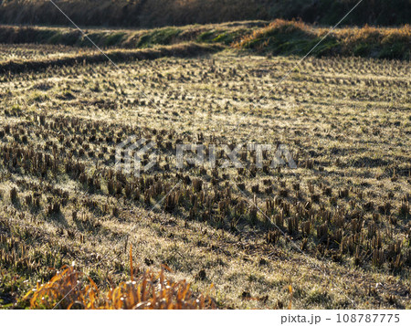 稲刈り後の田園風景 108787775