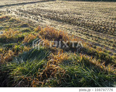 稲刈り後の田園風景 108787776