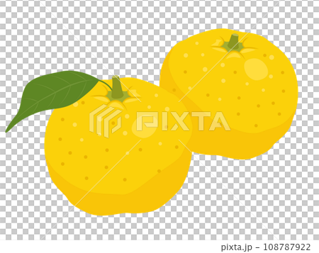 柚子のイラスト 108787922