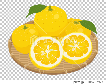 かごに盛られた柚子のイラスト 108787924