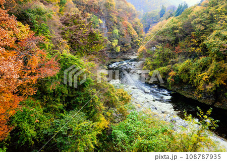 紅葉の片品渓谷 紅葉の片品渓谷 108787935
