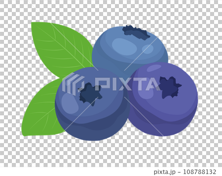 Blueberry illustration Blueberry illustration 108788132