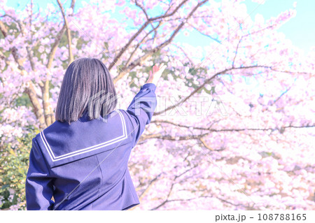 桜と高校生の女の子 108788165
